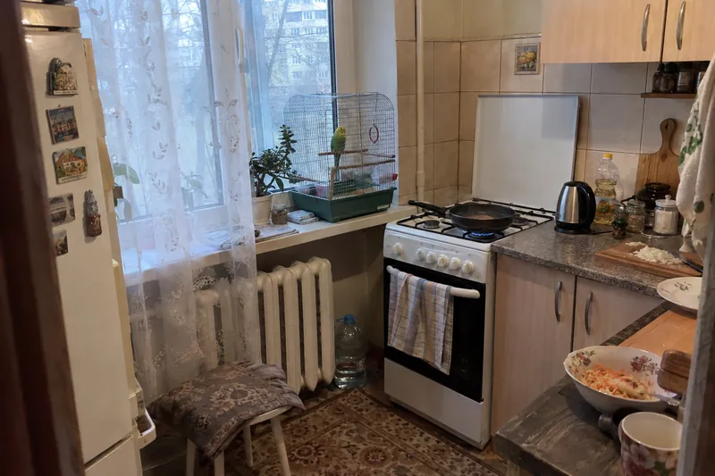 Клітка з папугою на кухні неподалік газової плити